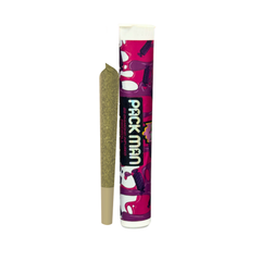 PACKMAN 2G PREROLL | GRAPE CANDY 2OCT